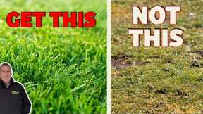 Beginners guide to getting a lawn renovation right
