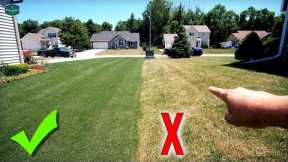 The #1 Way You're RUINING Your Lawn