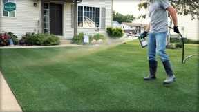Can You FERTILIZE Your Lawn In SUMMER??
