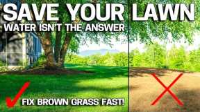 REAL REASON your LAWN is BROWN & IT'S NOT WATER!