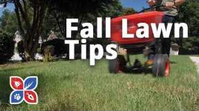Do My Own Lawn Care - Fall Lawn Tip - Ep32