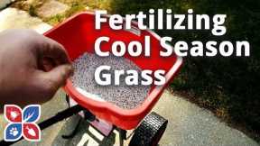 How to Fertilize Cool Season Grass - Lawn Care Tips | DoMyOwn.com