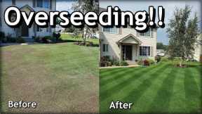 How To OVERSEED Your Lawn in SPRING // Complete Step by Step Guide
