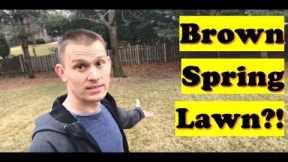 Turn Brown Grass into Green Grass | Spring is Best time to Prevent Weeds (LAWN CARE)