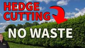 This one trick will save you a lot of time trimming hedges