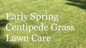 Early Spring Centipede Grass Lawn Care Tips | Prepare lawn for growing season