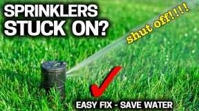 Help! My Sprinklers won’t shut off! Save $300 Fix it YOURSELF!
