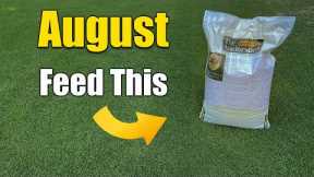 August Lawn Care - What to Feed Your Lawn