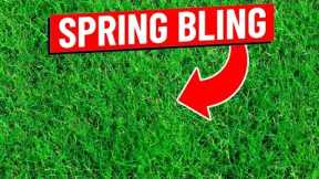 Spring Lawn Care Tips for Bermuda Grass