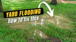 Flooded Yard Causes Major Problems Complete Yard Drain System - How to Fix - DIY for Homeowners