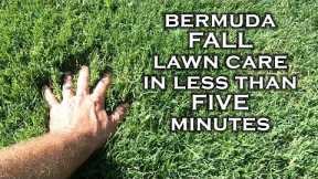 3 Must-Do Fall Lawn Care Tips for Established or New Construction Bermudagrass Lawns