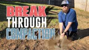 3 Simple Tips to Fix Compacted Soil