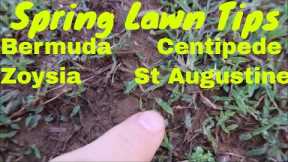 Spring Lawn Care Tips - Bermuda, Zoysia, Centipede and St  Augustine Lawns