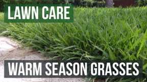Warm Season Grasses: A Lawn Care Guide