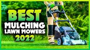 Top 5 Best Mulching Lawn Mowers You can Buy Right Now [2022]