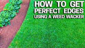 How to Get Perfect Lawn Edges with a Weed Wacker