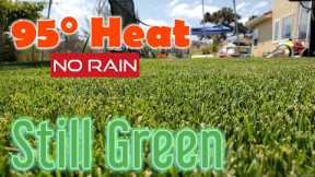 How I Use WAY LESS Water To Keep My Lawn Green In The Summer | Irrigation & Hydretain Tips