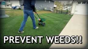 How To Apply GRANULAR Pre Emergent To Prevent Crabgrass // Spring Lawn Care Step 2