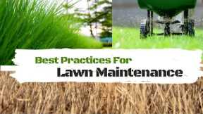 Lawn maintenance suggestions for beginners | Lawn care tips for beginners | Lawn care program detail