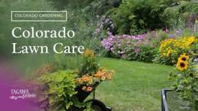 Colorado Lawn Care
