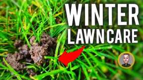 November Winter Lawn Care Tips