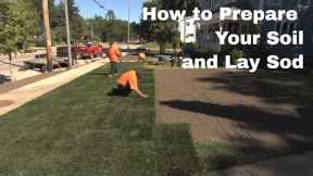 How to Prepare Your Soil and Lay Sod