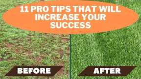 Overseeding Lawn   11 tips that will ensure your success