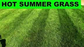Summer Heat Tips - Cool Season Lawns in Hot Weather