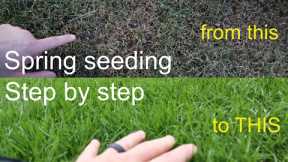 How to GROW GRASS in the SPRING successfully step by step