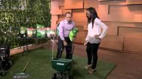 The best tips for great spring lawn care