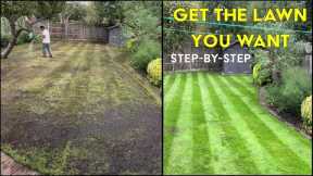 How to FIX an UGLY Lawn | Step by Step for Beginners EASY Lawn Renovation