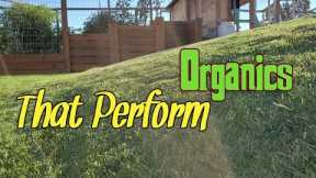 Organic Fall Lawn Plans Explained