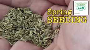 Every Reason NOT to SEED Your Lawn In Spring