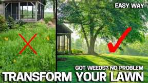 How to TRANSFORM an UGLY LAWN TAKEN OVER by WEEDS - EASY!
