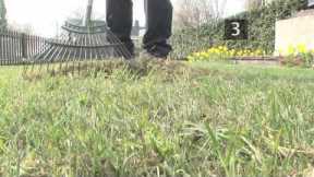 How To Care For Your Lawn In Spring - Spring Lawn Care Tips | Garden Ideas & Tips | Homebase