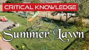 Deep Summer Lawn Care Guide For Cool Season Grass Types