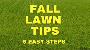 DIY Fall Lawn Care // 5 Easy Steps To A Great Lawn