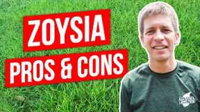 Zoysia Grass Lawn Pros, Cons, and Tips