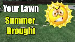 Summer Lawn Care - Hot Dry Drought Conditions
