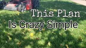 SUPER Simple Plan For An AWESOME Fall Lawn