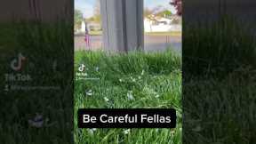 Lawncare Tips, Lawncare Business Tips #becarefulfellas #watchout #weedeatertips