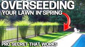 How to OVERSEED an UGLY LAWN in SPRING
