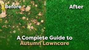 5 Jobs to Do in Autumn for a Lush Lawn (Lawn Care Guide)