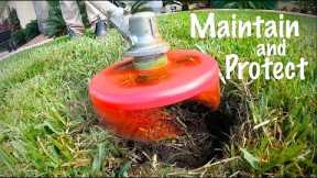 Lawn Sprinkler Head Maintenance You Have Not Considered // Lawn Donut Trimming and TOOLS