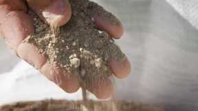 The Garden Gurus - Solving Your Sandy Soil