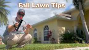 Fall Lawn Tips and This Important (Cheap) Tool