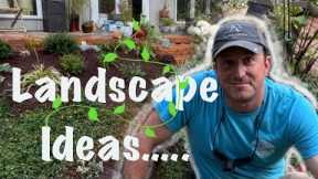 How to plant on a slope ⛰ | & in clay sand soil | 🌳