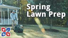 Spring Lawn Preparation - Lawn Care Maintenance Tips | DoMyOwn.com