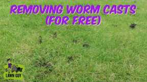HOW TO REMOVE WORM CASTS (For Free)