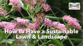 Tips to Have a Sustainable Lawn and Landscape